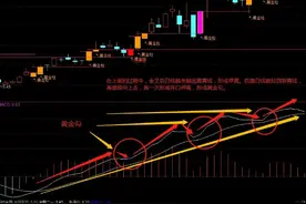 MACD两种背离图片