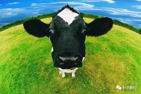 超赞！世界10个著名悖论的最终解答来了！图片