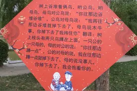 河南话方言你听过几个？又能读懂几个？图片