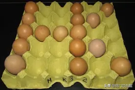 卖废品时，鸡蛋托盘一定要留下，改造后放阳台上，全家人都夸好图片