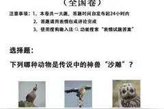 考试试题表情包图片