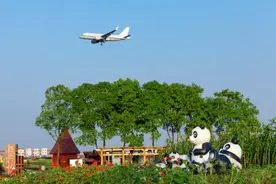 每张都是屏保！如何在空港花田拍美美的大片？这篇超实用！收藏→图片