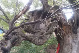 河南一个有600多年历史的传奇古村 是九朝古都门户兵家必争图片