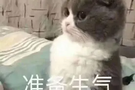 深夜，禅城这对夫妻在别人家门前偷偷摸摸……图片
