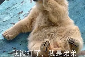 超级合集：100张萌宠表情包，你们不点进来看看？图片