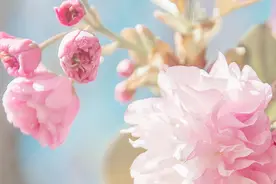女人穷惯了，某些习惯便会深入人心，很难改掉图片