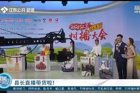 江苏县长直播带货农副产品 盱眙龙虾、阜宁大糕！有你pick的一款吗？图片