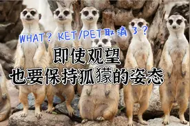 教育部考试中心取消了承办KET、PET？！这意味着什么？图片