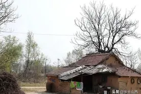 她5岁逃荒来到农村，婚后和老伴住上乡村小别墅，很多网友来参观图片