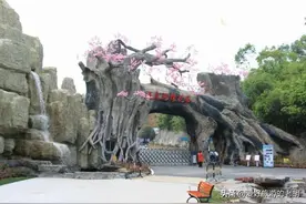 长沙堪比武汉东湖樱花园的地方，1万株樱花，为啥去的人却不多？图片