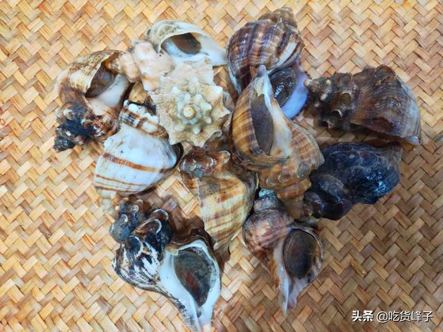 海螺哪个部位不能吃（海螺尾是屎还是黄哪些部位不能吃老渔民告诉你答案）