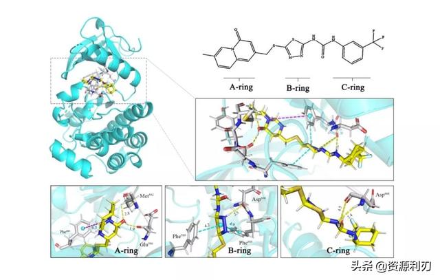 科研论文作图｜零基础用Pymol绘制蛋白质-小分子结合模式图