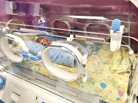 阑尾炎手术后可以吃花胶吗 2026年阑尾炎手术后可以吃花菜吗?