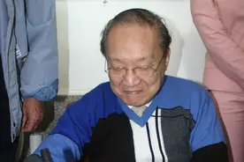 金庸经典小说白马啸西风（21）图片