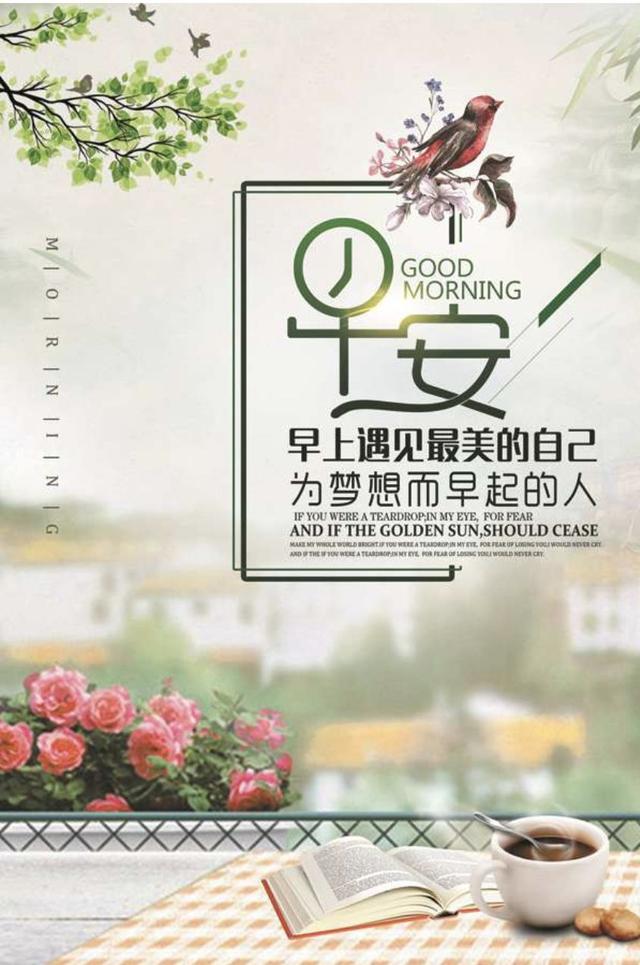 浇树浇根,交友交心,早安