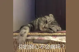 十几年工资全都借给姐姐做生意，现在我有困难她却不愿还钱，怎么办？图片