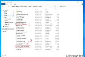 PotPlayer 篇三：PotPlayer播放器madVR配置指南——万字警告图片
