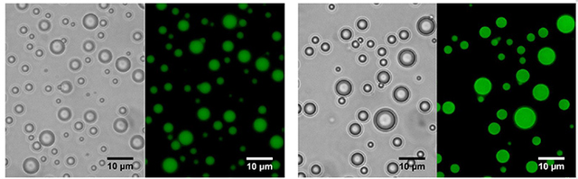 最早的蛋白质，是怎么产生的？