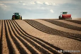 法律法规VS民俗习惯？看法官如何化解因丧葬礼仪引发的案件图片