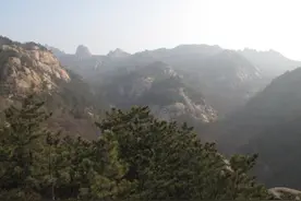 故事：父女山里打柴，好心放过受伤母狼，十天后群狼进村咬死父亲图片