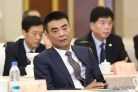 厅官下海，在商人堆里缠斗16年，缔造出千亿保险集团图片