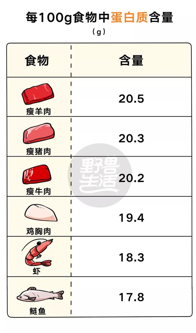 牛、猪、鸡、鱼，哪种蛋白质更好？