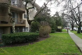 温哥华，买房开销大还是租房开销大，纯理工直女数据比较图片