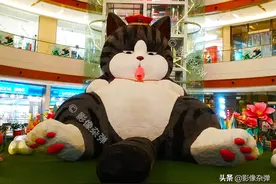 8米高巨型“网红猫”亮相长沙，吸引市民来“打卡”图片