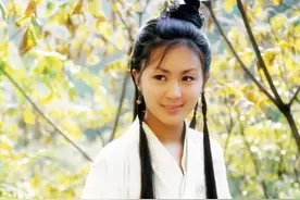 唐宁： 曾惊艳了岁月的古装美人，90后的童年女神图片