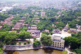 这条村被称为“雷州第一村”，奇树奇泉古豪宅，据说是皇族后代图片