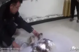 男子非法狩猎解嘴馋，被夜巡民警抓现行图片