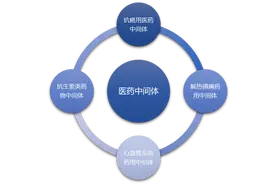 2021-2027年抗生素中间体行业细分市场调研及投资可行性分析报告图片