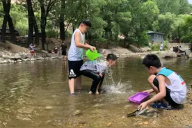 下水摸鱼、爬山登高、摘菜除草、捉虫捕虾，城里娃回村玩嗨了图片