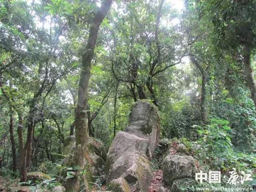 廉江谢鞋山 廉江谢鞋山有什么好玩的(图14) 廉江谢鞋山 廉江谢鞋山有什么好玩的(图14)