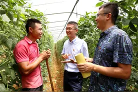 柳前亮：现在我把家当好，以后他们好当家图片