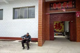 晋南农村，70岁老人中条山里寻找野生柿子，剥柿核栽种柿子母树图片