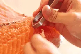 每吃掉一口三文鱼，都有一个工人算数到崩溃图片