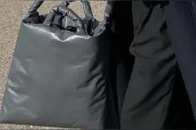 冬天爆火的枕头包有什么魅力？难怪女明星们都在背，高级又实用图片