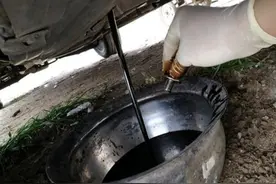 废机油在养猪中有这么大的作用，不会使用就太可惜了图片