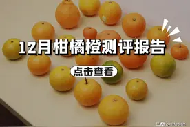 20款柑橘橙大比拼，“中国柑王”德庆贡柑是否名副其实？图片