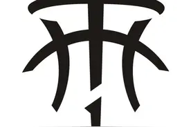 退役顶级球星LOGO后卫篇：麦迪飘逸艺术、韦德低调难懂、阿伦真实图片