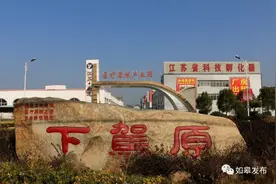 高质量发展在如皋 | 下原镇：厚植园区建设优势，深耕百亿特色产业！图片