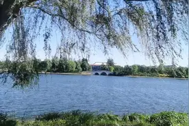 律师会两头通吃吗？你请的律师倘若被收买该怎么处理？图片