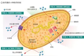 藏文科普 | 与抗生素过招的百变细菌图片