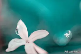 诗词中的悠闲时光，是你想要的生活吗？图片