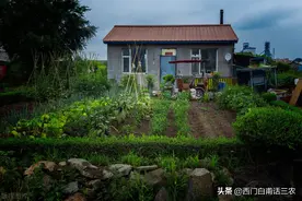 农村宅基地面积超标，是单指房屋建筑面积还是包括院子面积在内？图片