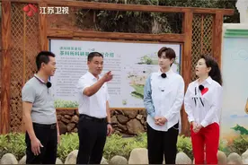 《为幸福喝彩》“茶厂实习生”汪苏泷来报到！山间找寻公益的真谛图片