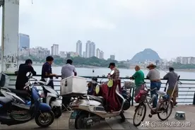 柳州柳江边的钓鱼者自成一景，每人都能钓上同一种鱼，知道奥秘吗图片