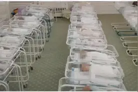 比郑爽代孕更可怕的，是剥削底层女性的黑色产业链图片