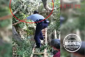 7旬老人上树修剪树枝，结果脖子被卡无法动弹，民警：快找铲车来图片